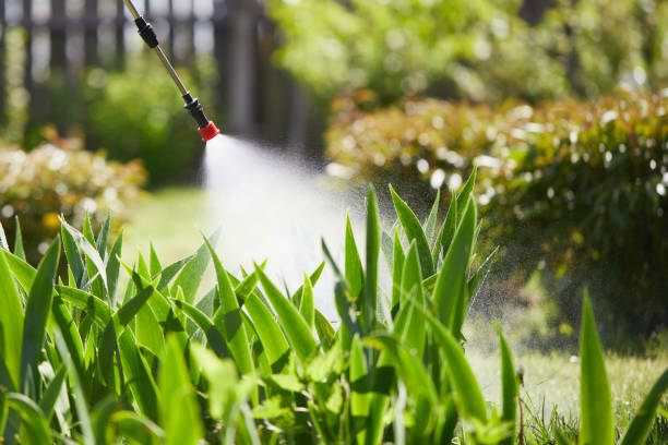 24/7 Emergency Mosquito Control experts in Stratford, WI